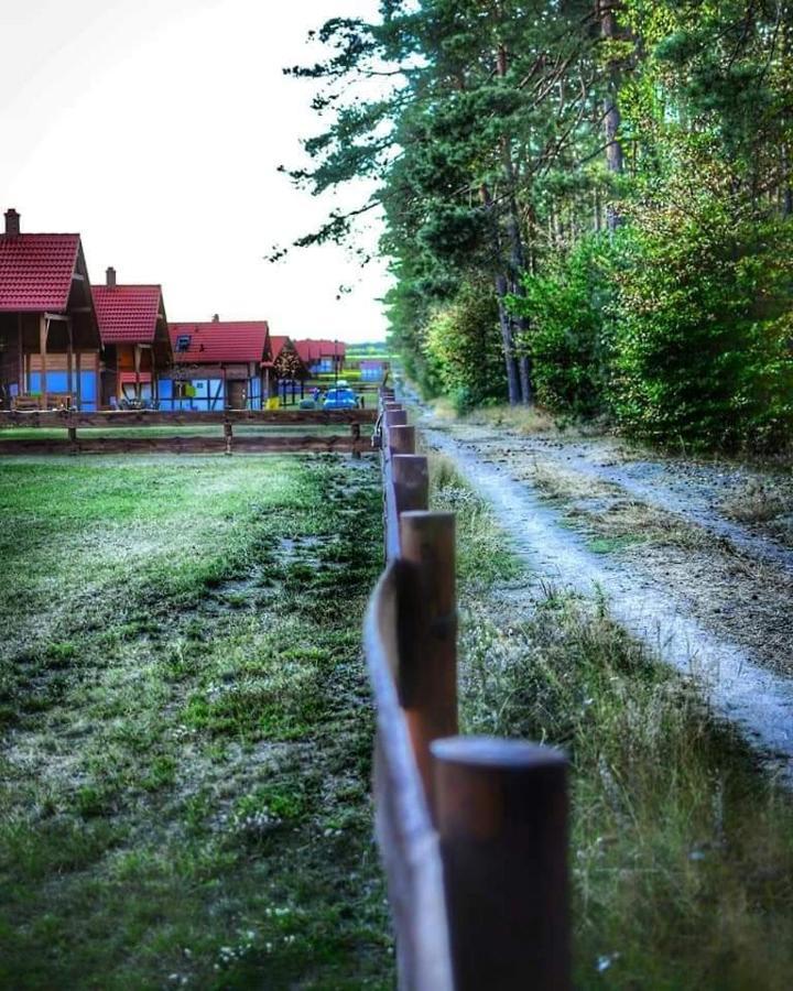 Lesna Ostoja Villa Borowy Mlyn Exterior photo